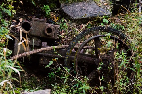 An old, rusted machine part lies among overgrown grass and plants, partially hidden by foliage.
