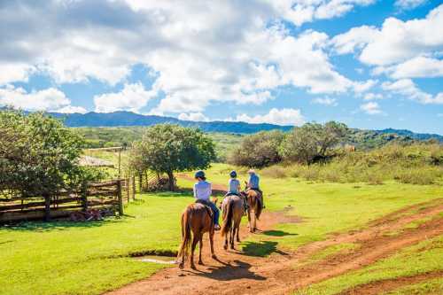 Three riders on horseback travel along a scenic trail with lush greenery and mountains in the background.