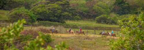 A group of riders on horseback traverses a scenic trail surrounded by lush greenery and trees.