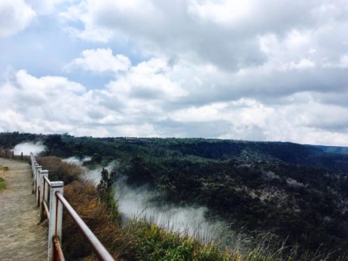 A scenic view of a misty valley with lush greenery under a cloudy sky, seen from a walking path.