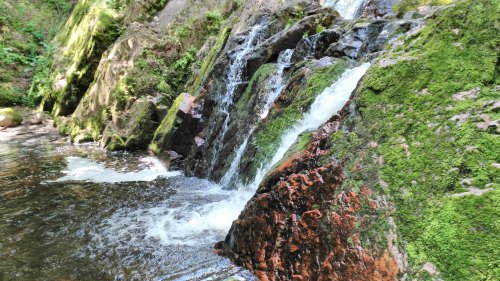 A serene waterfall cascading over moss-covered rocks into a clear pool, surrounded by lush greenery.