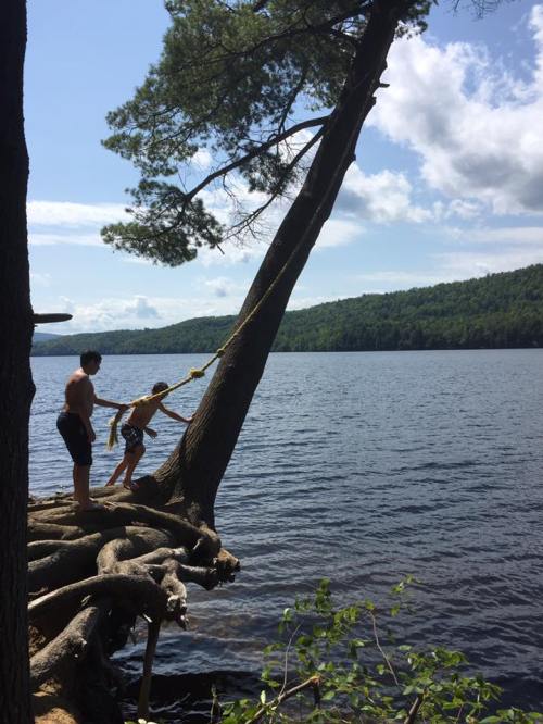 Two children play by a lake, one climbing a tree while the other holds onto a rope, surrounded by nature.