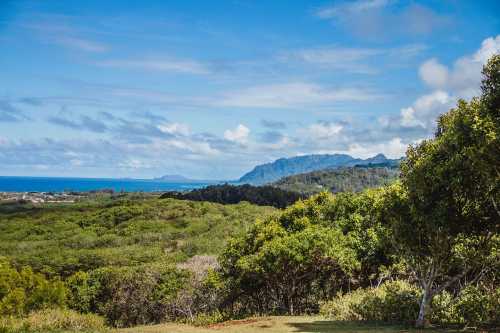 Lush green landscape with mountains and ocean in the distance under a blue sky with scattered clouds.