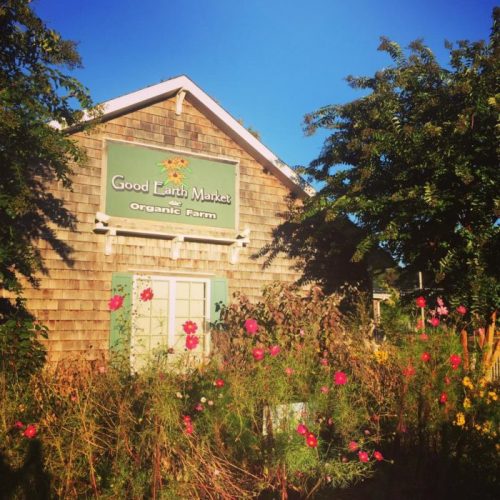 A charming wooden building with a sign reading "Good Earth Market" surrounded by colorful flowers and greenery.