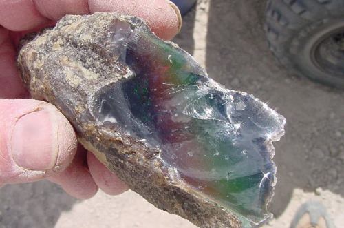 A hand holding a rough, iridescent mineral with green and purple hues, partially exposed in a rocky surface.