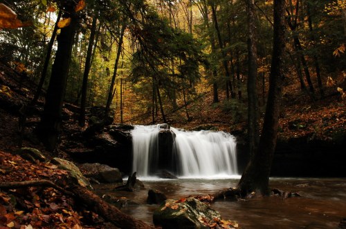 A serene waterfall cascades over rocks, surrounded by autumn foliage and tall trees in a tranquil forest setting.