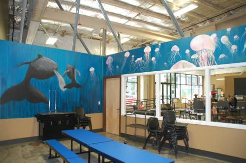 A colorful mural of dolphins and jellyfish on a blue wall in a spacious room with stacked chairs and tables.