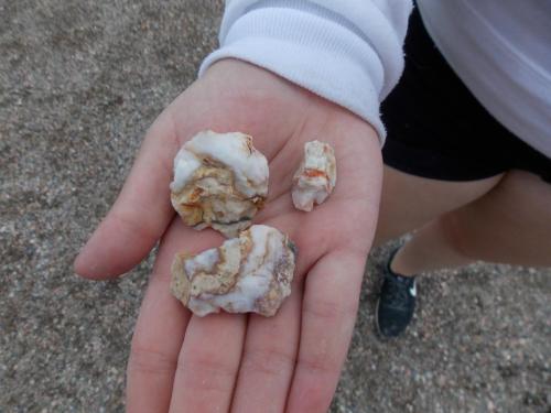 A hand holding three pieces of colorful, banded stones against a gravel background.