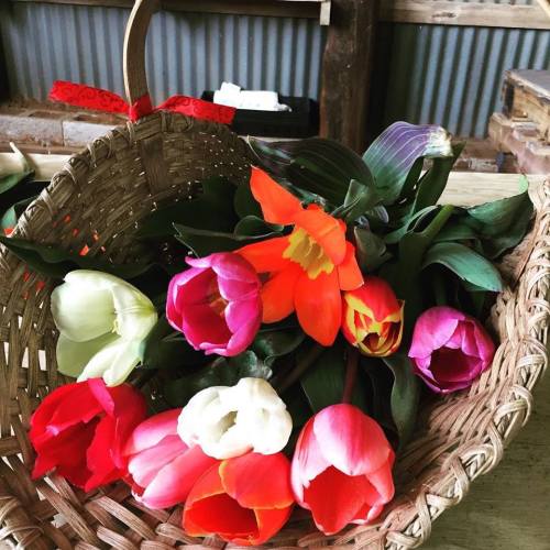 A woven basket filled with vibrant tulips in various colors, resting on a wooden surface.