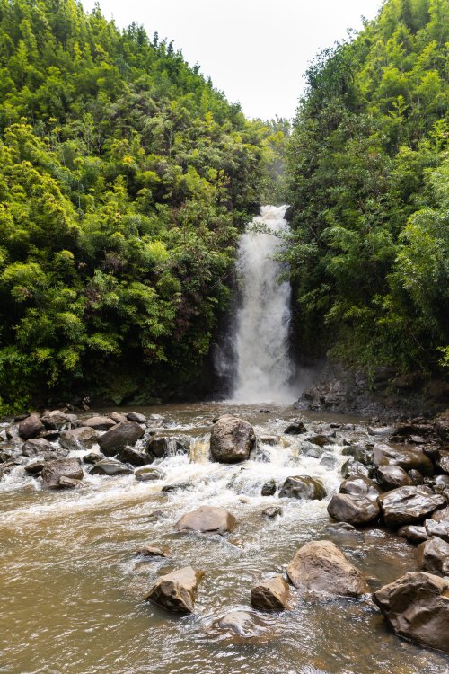 A serene waterfall cascades through lush greenery, surrounded by rocks and flowing water in a tranquil natural setting.