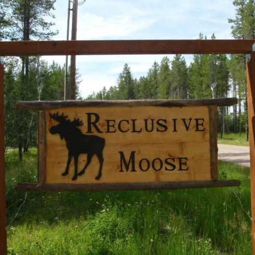 A wooden sign reading "Reclusive Moose" with a moose silhouette, surrounded by trees and greenery.