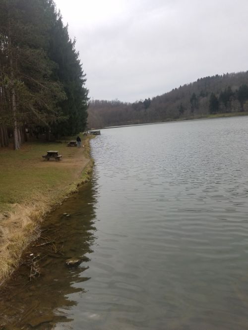 A serene lake surrounded by trees, with a grassy shore and a person walking along the water's edge.