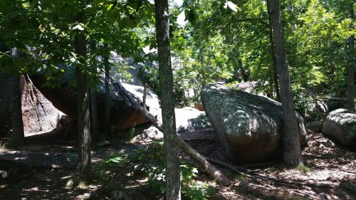 A forest scene featuring large boulders surrounded by trees and dappled sunlight filtering through the leaves.
