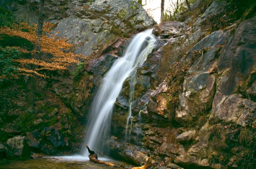 A serene waterfall cascades over rocky cliffs, surrounded by lush greenery and autumn leaves.