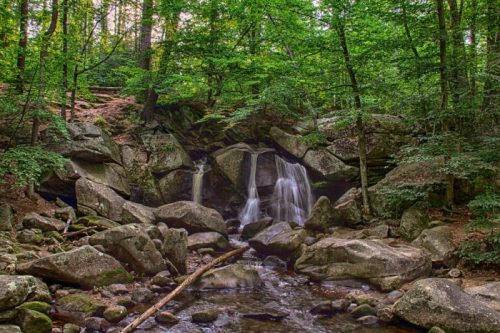 A serene waterfall cascades over rocks in a lush green forest, surrounded by trees and a tranquil stream.