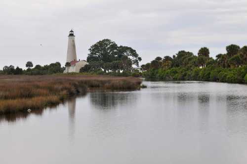 A lighthouse stands near a calm river, surrounded by marshland and palm trees under a cloudy sky.