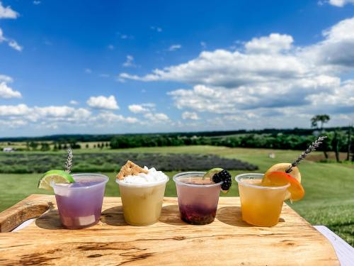 Four colorful cocktails in clear cups on a wooden board, set against a scenic landscape with blue skies and greenery.