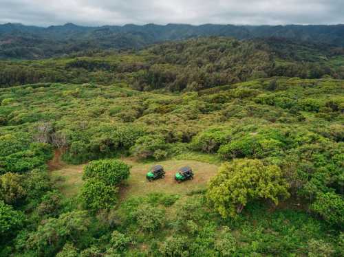 Two off-road vehicles parked on a grassy area surrounded by lush green trees and mountains in the background.