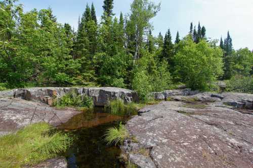 A rocky landscape with patches of grass and a small pool of water, surrounded by lush green trees and shrubs.