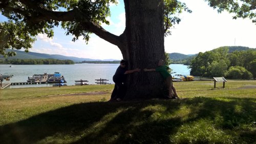 Two people are playfully hugging a large tree by a lake, with boats and hills in the background.