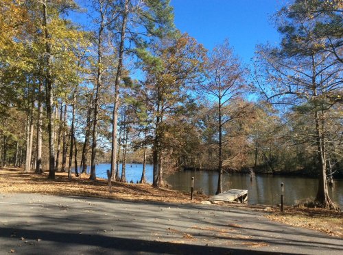 A serene river scene surrounded by trees with autumn foliage under a clear blue sky. A wooden dock extends into the water.