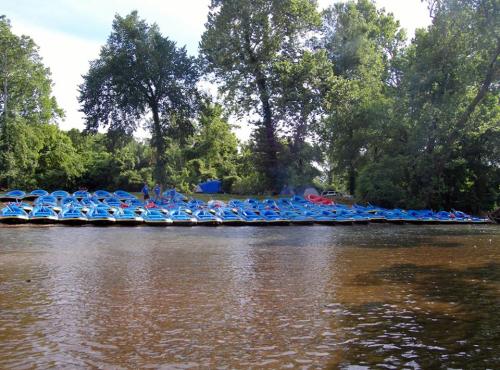 A row of blue paddle boats lined up along a riverbank, surrounded by lush green trees and a clear sky.