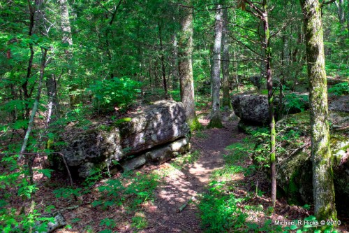 A serene forest scene with lush greenery, large rocks, and a narrow dirt path winding through the trees.