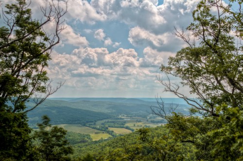 A scenic view of rolling hills and valleys under a cloudy sky, framed by trees in the foreground.