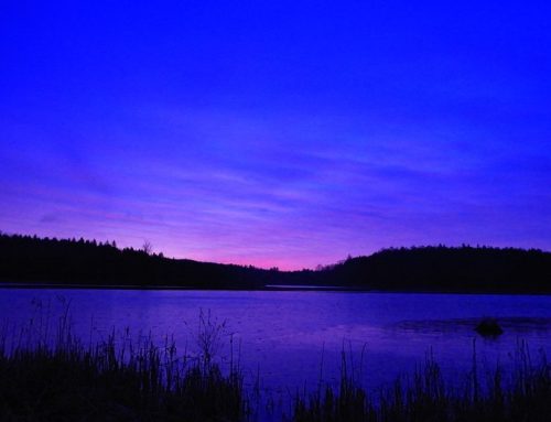 A serene lake at dusk, reflecting vibrant purple and blue hues in the sky, surrounded by silhouettes of trees.