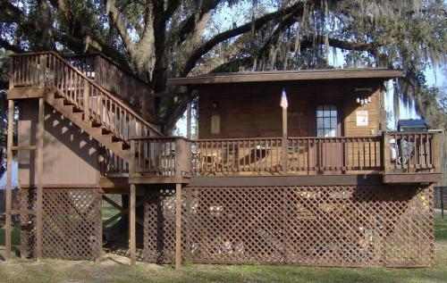 A wooden treehouse with a staircase, surrounded by greenery and hanging moss, featuring a porch and lattice foundation.