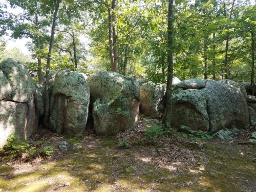 A cluster of large, moss-covered boulders surrounded by trees and greenery in a forested area.