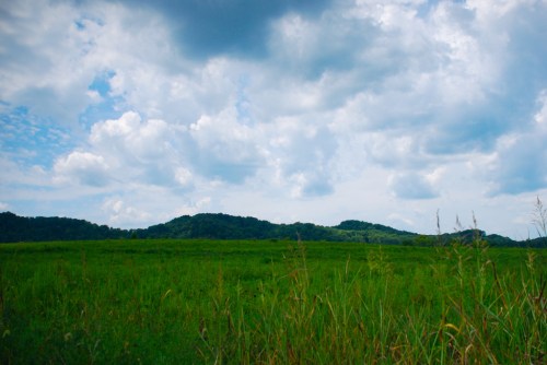 A lush green field under a cloudy sky, with rolling hills in the background.