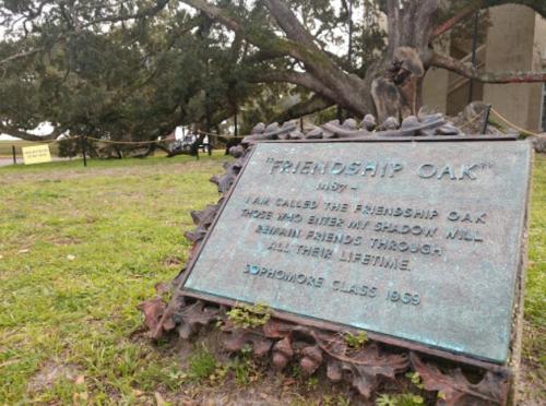 A plaque titled "Friendship Oak" beside a large tree, with a quote about enduring friendship.