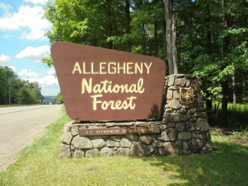 Sign for Allegheny National Forest, featuring a stone base and surrounded by green trees and blue sky.