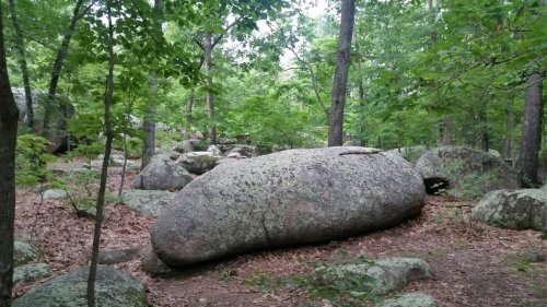 A large, moss-covered boulder surrounded by trees and smaller rocks in a lush forest setting.