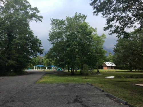 A park scene with trees, a playground in the background, and a cloudy sky overhead.