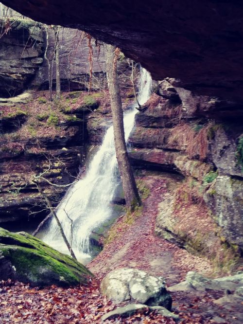 A serene waterfall cascades down rocky cliffs, surrounded by moss-covered stones and bare trees in a tranquil forest setting.