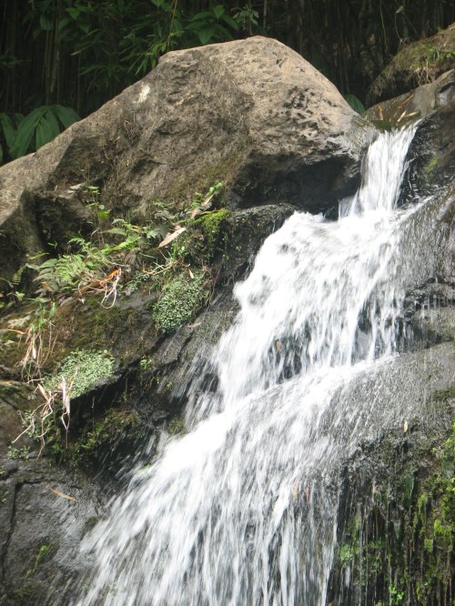 A close-up of a cascading waterfall over rocky terrain, surrounded by lush green vegetation.