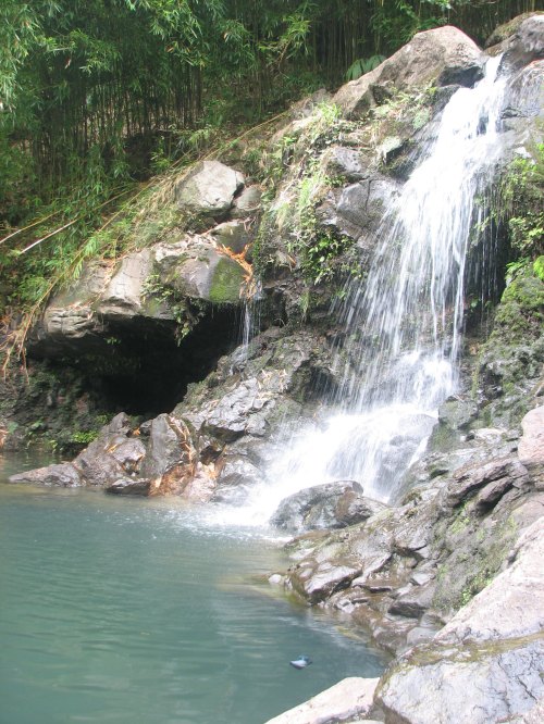 A serene waterfall cascading over rocks into a tranquil pool, surrounded by lush greenery and bamboo.
