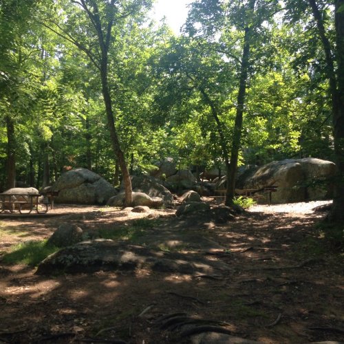 A serene forest scene with large rocks, trees, and a clear sky, creating a peaceful natural setting.