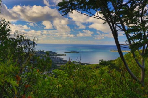 A scenic view of a coastline and ocean, framed by lush greenery and a blue sky with scattered clouds.