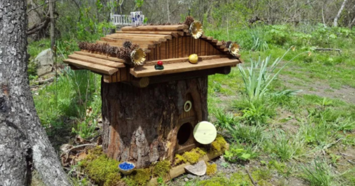 A whimsical birdhouse made from wood, decorated with pinecones and flowers, set in a lush green garden.