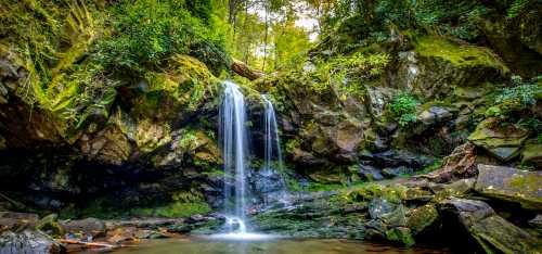 A serene waterfall cascades over moss-covered rocks, surrounded by lush greenery in a tranquil forest setting.