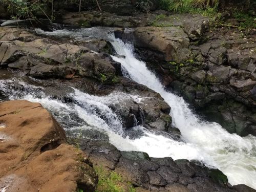 A flowing stream cascades over rocky terrain, surrounded by lush greenery.