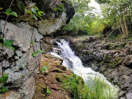 A serene waterfall cascades over rocky terrain, surrounded by lush greenery and moss-covered stones.