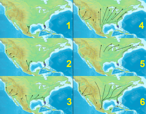 Map series showing directional arrows across North America, illustrating various movement patterns or routes.