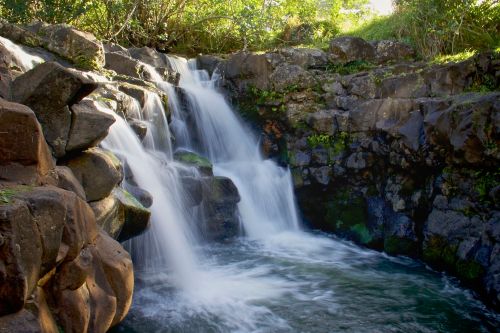 A serene waterfall cascading over rocks into a clear pool, surrounded by lush greenery.