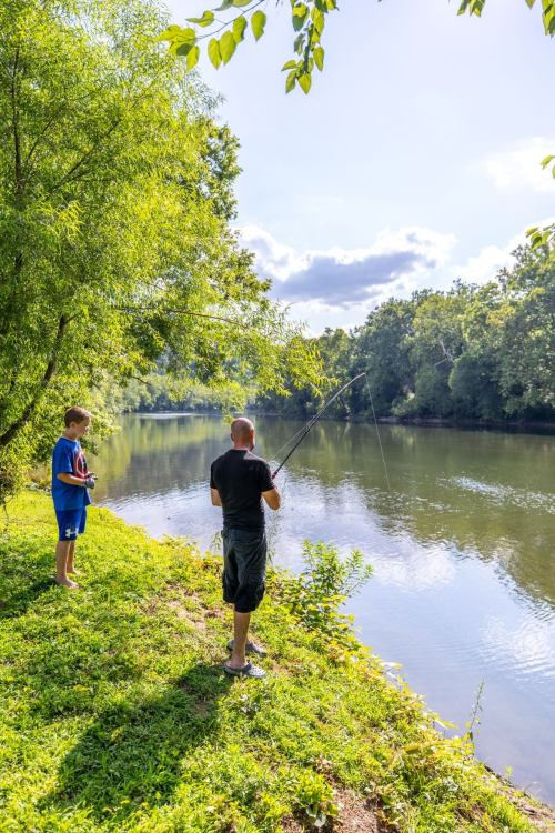 A man and a boy fish by a calm river, surrounded by lush greenery and a clear blue sky.