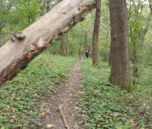 A wooded path with greenery, featuring a blurred stick in the foreground and a person walking in the background.