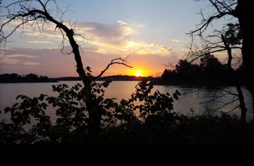 Sunset over a calm lake, framed by silhouetted trees and foliage, with colorful clouds in the sky.